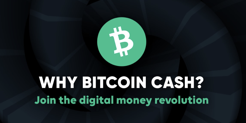 whybitcoincash.com